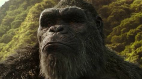 Here's How Big The Monsters Really Are In Godzilla Vs. Kong.